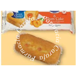 Bononia Plumcake Albicocca 270